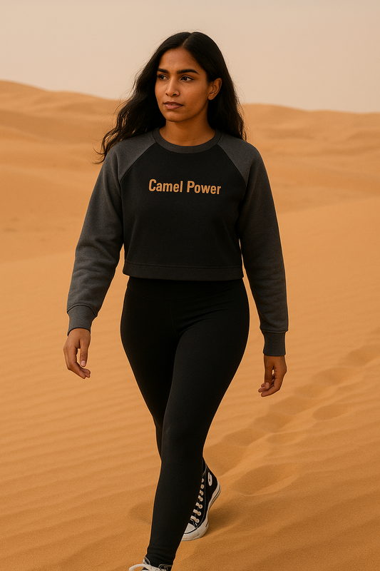 Raw-Hem Color-Block Raglan Crop Sweatshirt